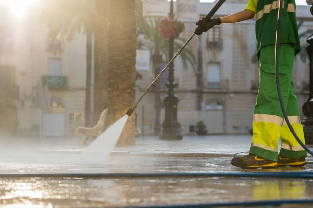 Best Solar Panel Cleaning  in Edgewood, NM